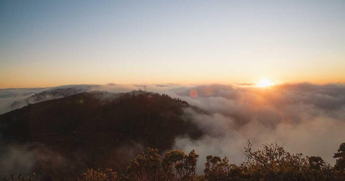 Featured: High-Yield Savings Accounts vs. Money Market Accounts: Which Pays More in 2024?