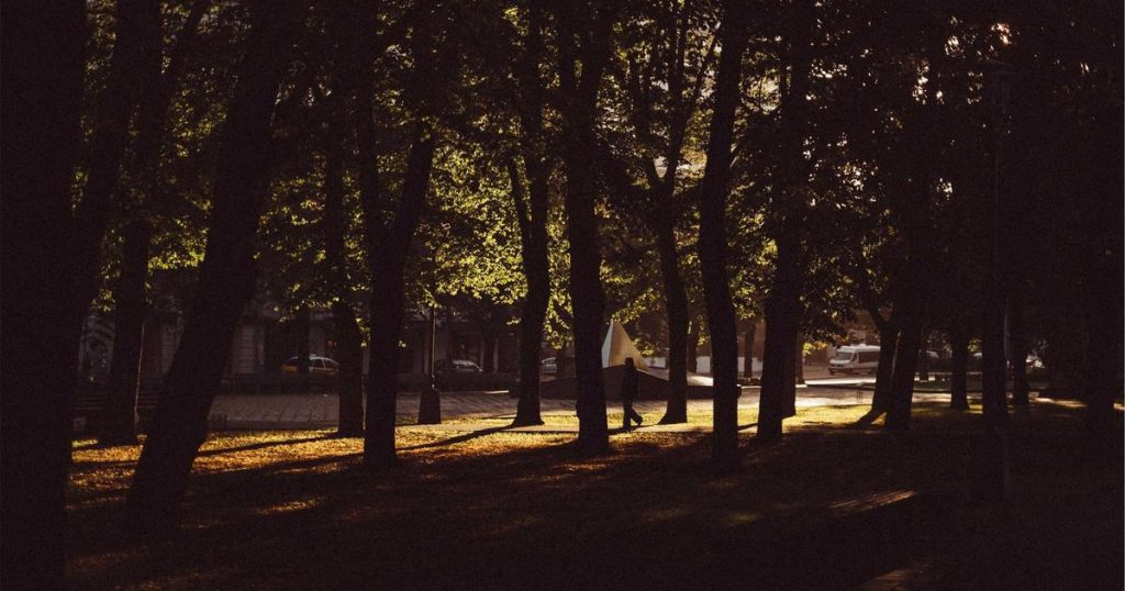 Ally Bank vs. Marcus by Goldman Sachs: Which High-Yield Savings Account Wins in 2025?