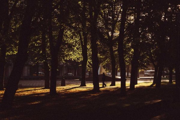 Featured: Ally Bank vs. Marcus by Goldman Sachs: Which High-Yield Savings Account Wins in 2025?