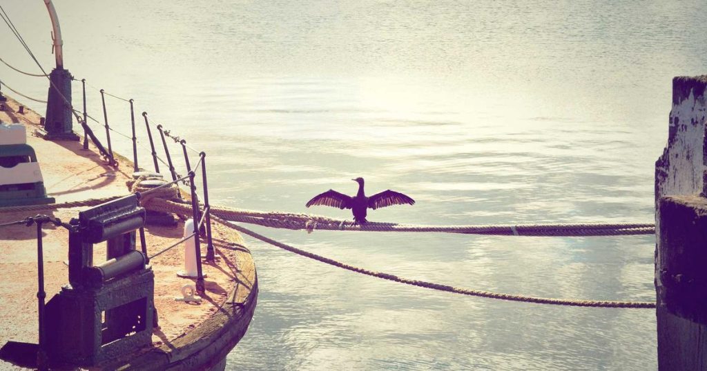 7 High-Yield Savings Accounts That Beat Inflation in 2024 (Real APY Comparison)