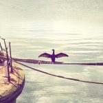 Featured: 7 High-Yield Savings Accounts That Beat Inflation in 2024 (Real APY Comparison)