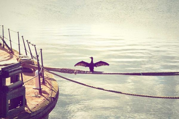 Featured: 7 High-Yield Savings Accounts That Beat Inflation in 2024 (Real APY Comparison)