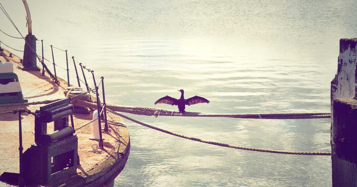 Featured: 7 High-Yield Savings Accounts That Beat Inflation in 2024 (Real APY Comparison)