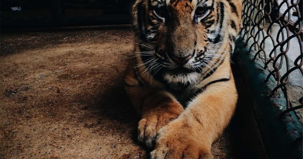 I Ran the Numbers: High-Yield Savings vs. Money Market Accounts Using Real 2024 Data