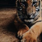 Featured: I Ran the Numbers: High-Yield Savings vs. Money Market Accounts Using Real 2024 Data