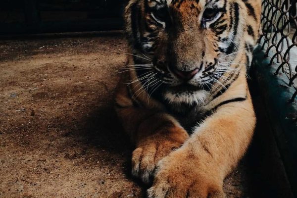 Featured: I Ran the Numbers: High-Yield Savings vs. Money Market Accounts Using Real 2024 Data