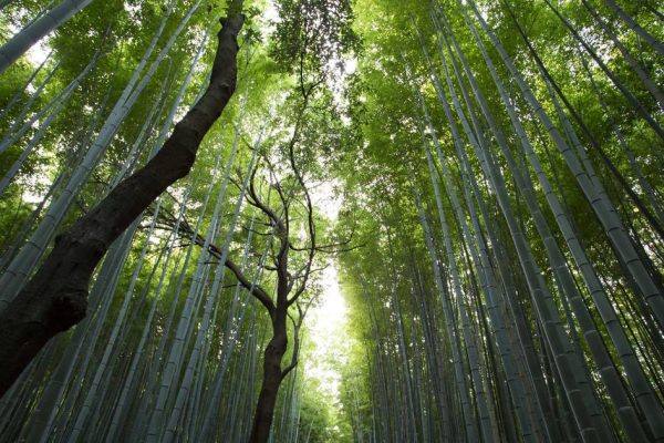 Featured: The 50/30/20 Budget Rule Doesn't Work for Most People - Here's What Does Instead