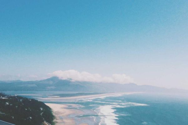 Featured: 7 Credit Cards That Actually Pay for Your Groceries (2025 Cash Back Comparison)