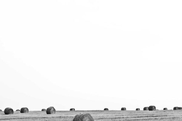 Featured: How to Build a $10,000 Emergency Fund in 12 Months on a $50,000 Salary