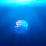 Featured: The Debt Avalanche vs Debt Snowball Method: I Tested Both and Here's What Happened