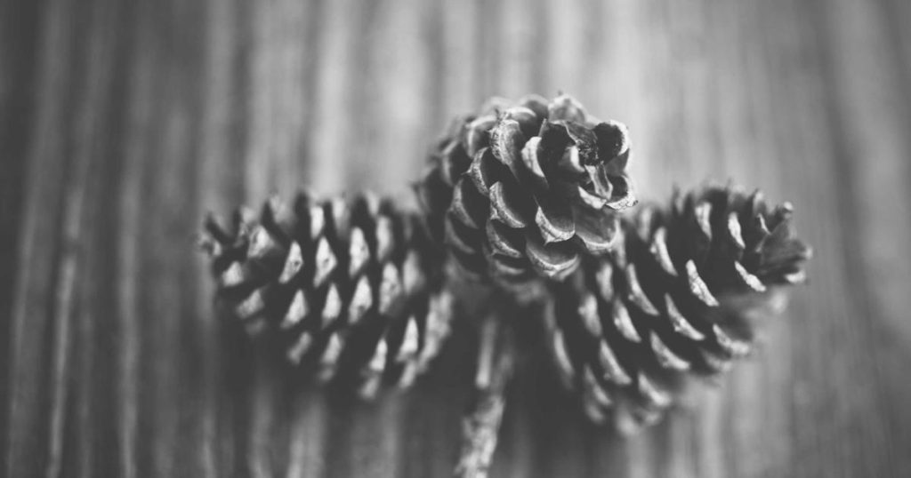 The 50/30/20 Budget Rule: Does It Still Work When You’re Drowning in Student Loans?