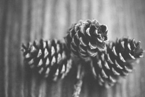 Featured: The 50/30/20 Budget Rule: Does It Still Work When You're Drowning in Student Loans?