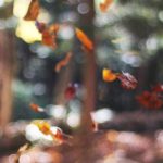 Featured: The 50/30/20 Budget Rule: Why It Fails for Most People (And What to Do Instead)