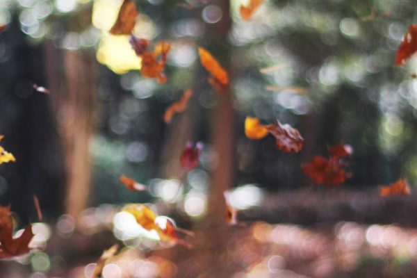 Featured: The 50/30/20 Budget Rule: Why It Fails for Most People (And What to Do Instead)