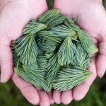 Featured: Backdoor Roth IRA Conversions: The $214,000 Income Loophole Wealthy People Use (Step-by-Step for 2025)