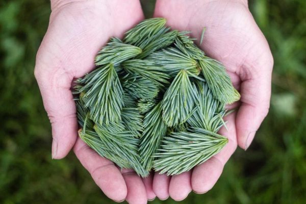 Featured: Backdoor Roth IRA Conversions: The $214,000 Income Loophole Wealthy People Use (Step-by-Step for 2025)