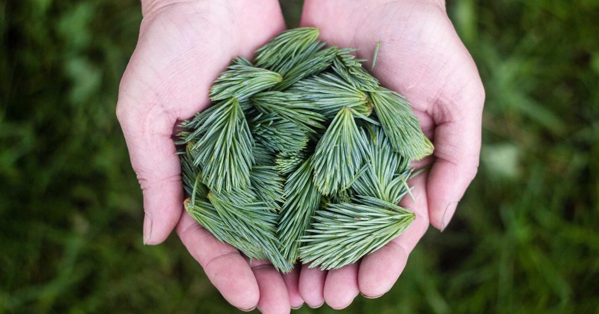 Featured: Backdoor Roth IRA Conversions: The $214,000 Income Loophole Wealthy People Use (Step-by-Step for 2025)