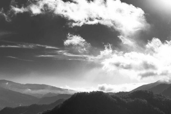 Featured: What Happens to Your 401(k) When You Switch Jobs? A Real Timeline of Your Options