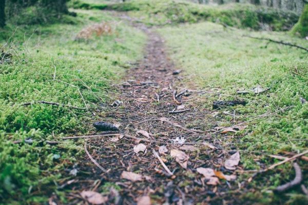 Featured: Why I Stopped Using Mint and Built My Own Expense Tracking System in Google Sheets