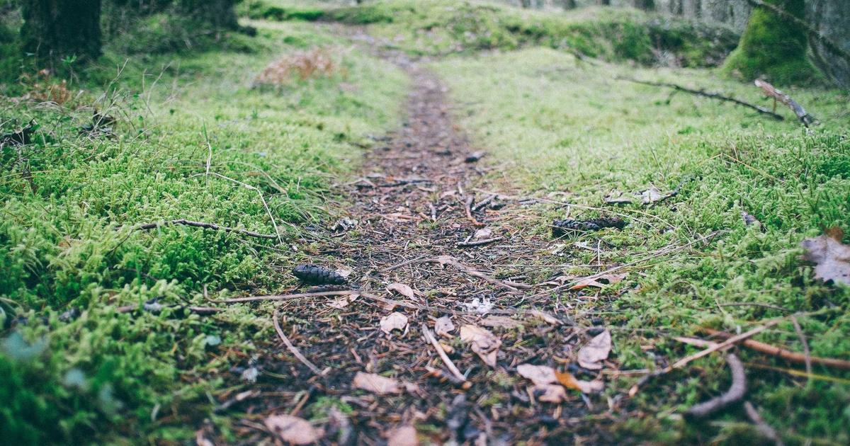 Featured: Why I Stopped Using Mint and Built My Own Expense Tracking System in Google Sheets