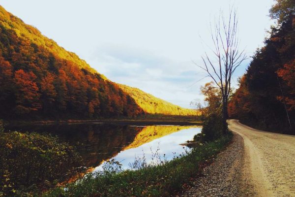 Featured: Why Your HSA Is Actually the Best Retirement Account Nobody Uses (Better Than a Roth IRA)