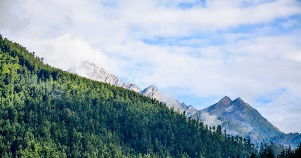 I Bought a Rental Property With $15,000 Down: Real Numbers From My First Year as an Accidental Landlord