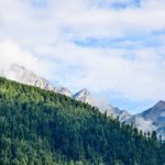 Featured: I Bought a Rental Property With $15,000 Down: Real Numbers From My First Year as an Accidental Landlord