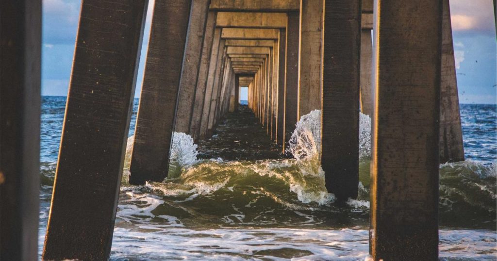 I Stopped Paying for Financial Advisors and Used Robo-Advisors Instead: $18,000 Saved Over 3 Years