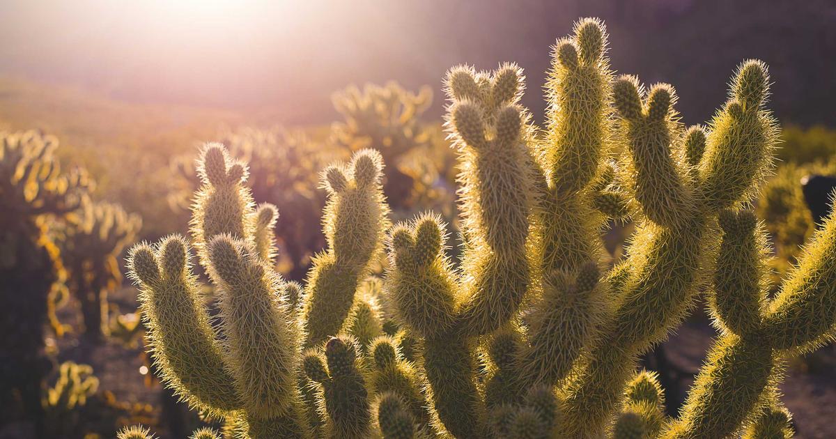 Featured: Why I Stopped Using Mint and Switched to Manual Spreadsheet Budgeting (Plus My Free Template)