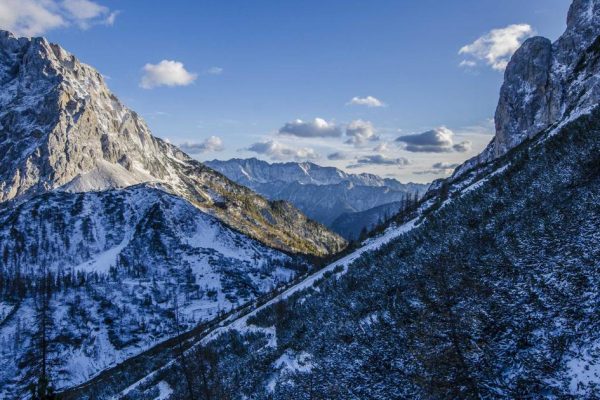 Featured: I Tested 4 Grocery Cashback Apps for 6 Months and Made $847: Here's Which One Actually Works