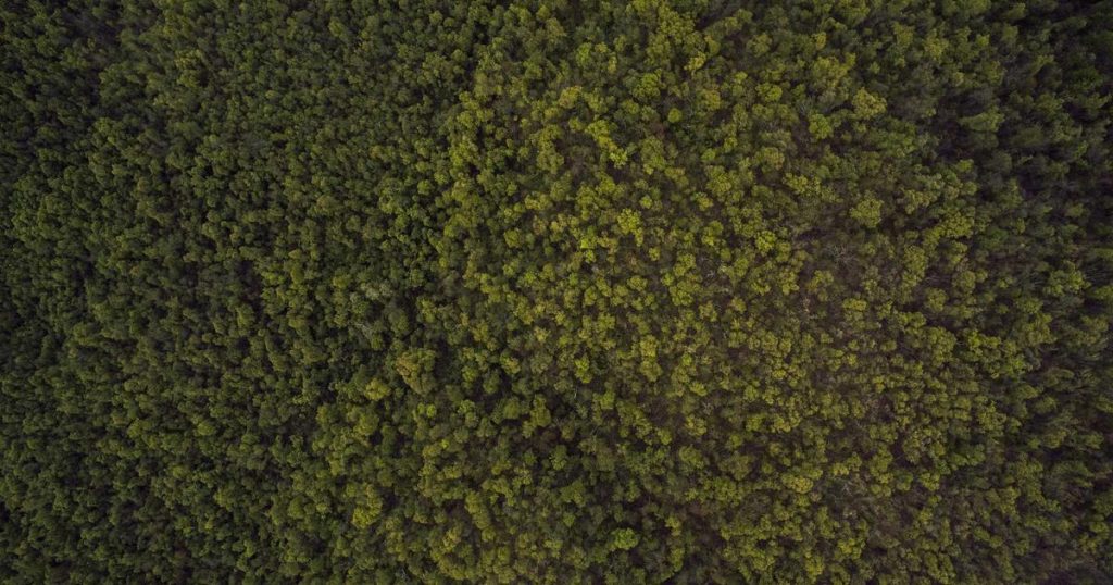 Why I Stopped Using Mint and Built My Own Budget Spreadsheet Instead (Template Included)