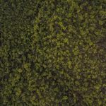 Featured: Why I Stopped Using Mint and Built My Own Budget Spreadsheet Instead (Template Included)