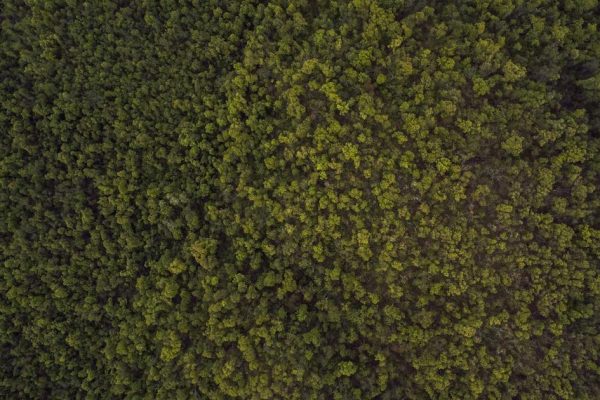 Featured: Why I Stopped Using Mint and Built My Own Budget Spreadsheet Instead (Template Included)