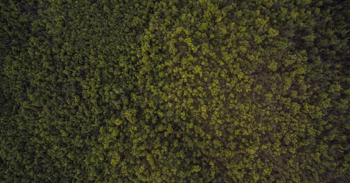 Featured: Why I Stopped Using Mint and Built My Own Budget Spreadsheet Instead (Template Included)